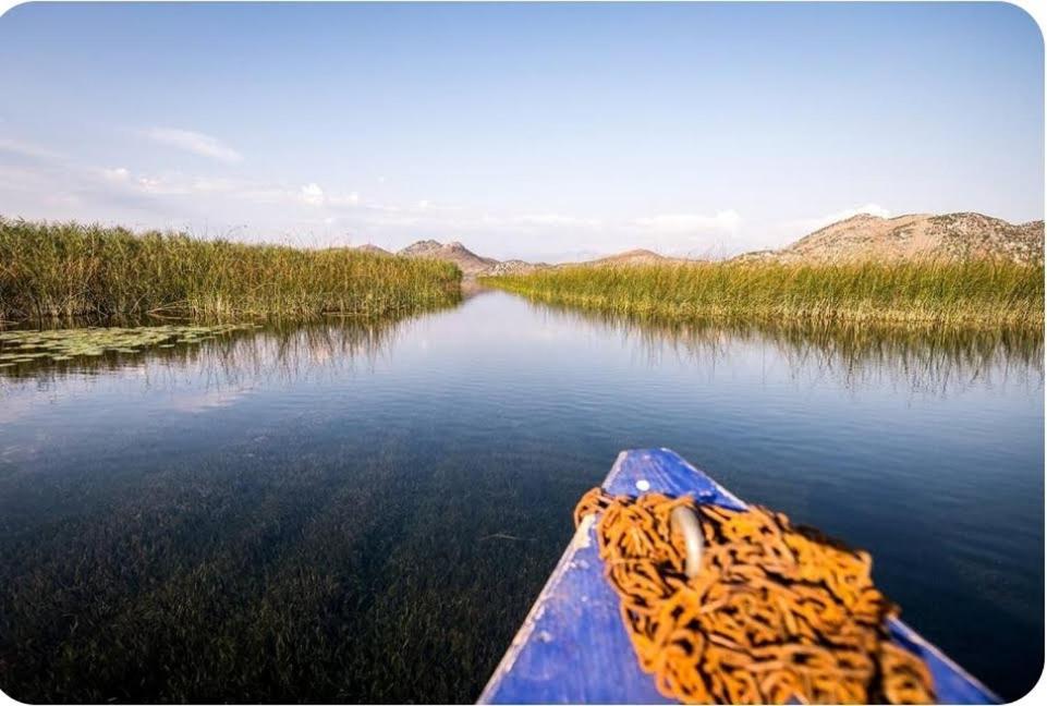 Holiday Home Haustor With Skadar Lake View Podgorica Luaran gambar