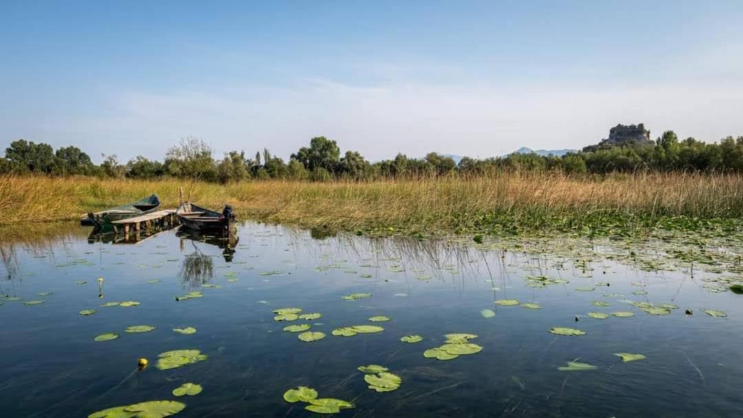 Holiday Home Haustor With Skadar Lake View Podgorica Luaran gambar