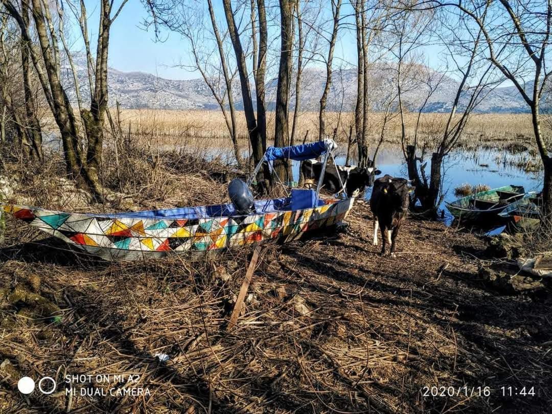 Holiday Home Haustor With Skadar Lake View Podgorica Luaran gambar